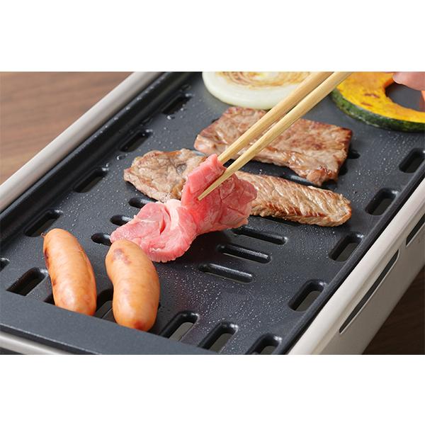 丸山技研 プチ・プレジール 電気角形グリル (PDG-100) 焼肉 プレート