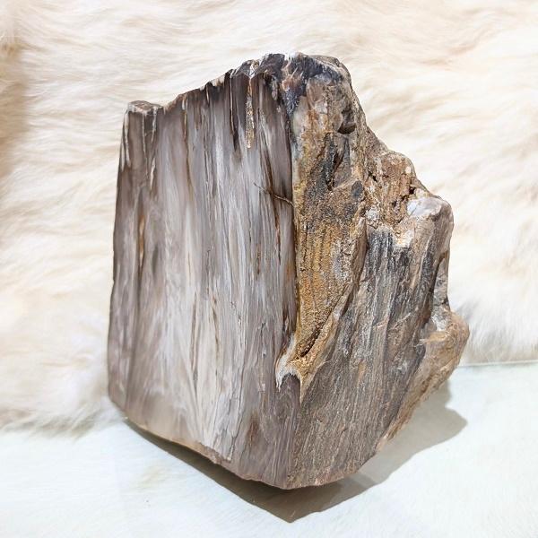 ペトリファイドウッド　珪化木 木の化石 パワーストーン 天然石 | 