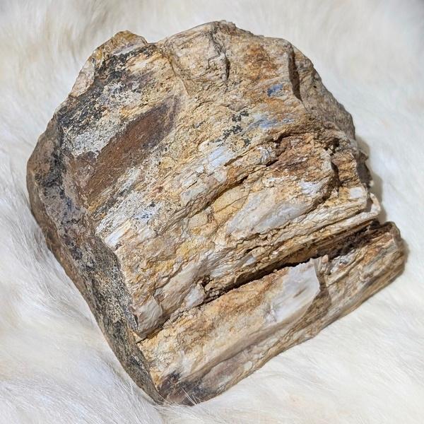 ペトリファイドウッド　珪化木 木の化石 パワーストーン 天然石 |  | 03