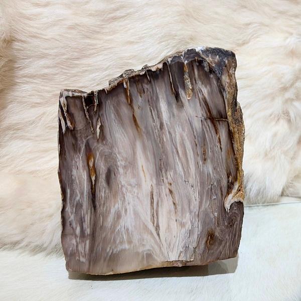 ペトリファイドウッド　珪化木 木の化石 パワーストーン 天然石 |  | 01