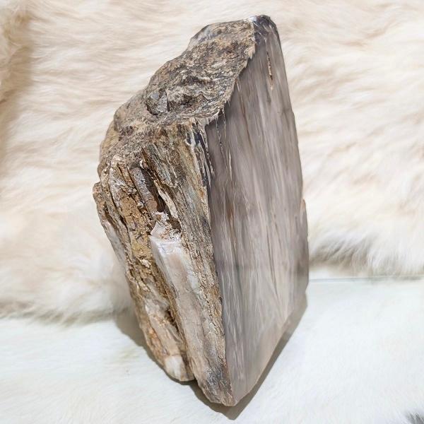 ペトリファイドウッド　珪化木 木の化石 パワーストーン 天然石 |  | 02