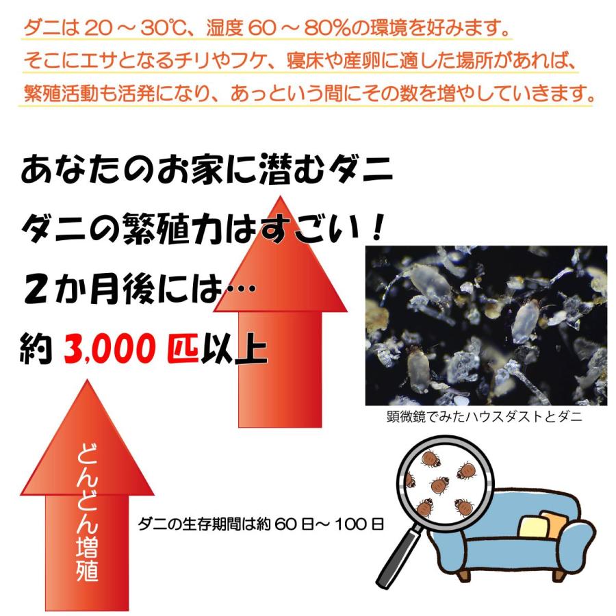 495円 最大95 Offクーポン 掛軸風カレンダー 17 茶禅一如日