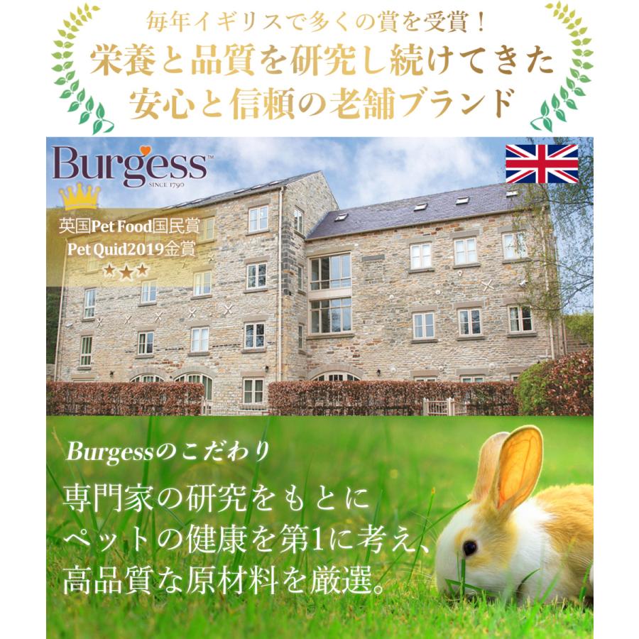 Burgess ジュニア&ドワーフ 【小粒ミント味|小うさぎと生後4 Burgess ジュニア&ドワーフ 【小粒ミント味|小うさぎと生後4