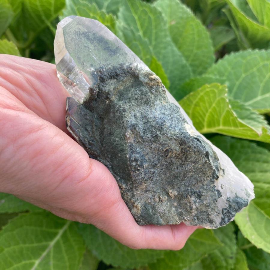 ガネーシュヒマール産 ヒマラヤ水晶 約276g クローライト (緑泥 ガネーシュヒマール産 ヒマラヤ水晶 約276g クローライト (緑泥