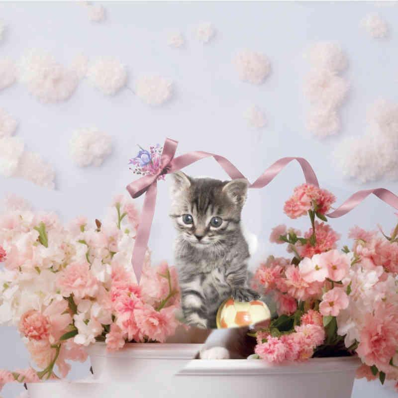 感謝価格(‗- ·̫ -‗^)ꪆ  ❤︎オッドアイ薔薇猫ちゃん ほんやら堂 ねこ ながら温アイマスク 4種セット・4枚（ラベンダー