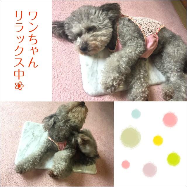 クールマット ペット ひんやり マット 石製 桜御影石 大理石 お名前 