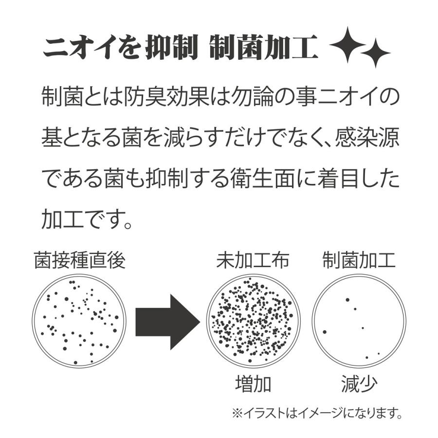 コンプレッションインナー 赤 レッド 弐号機モデル エヴァンゲリオン グッズ 制菌加工 ニオイを抑制 ゴルフ スポーツ ウエア サポートインナー 角利産業 Eva Inner 2 Lapis ラピス 通販 Yahoo ショッピング