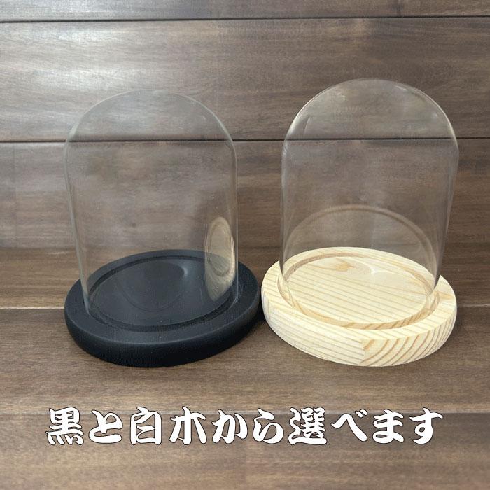 古いガラスドーム　ディスプレイケース ガラスドーム ディスプレイ ケース 硝子 オブジェ 飾る 保護 ショー