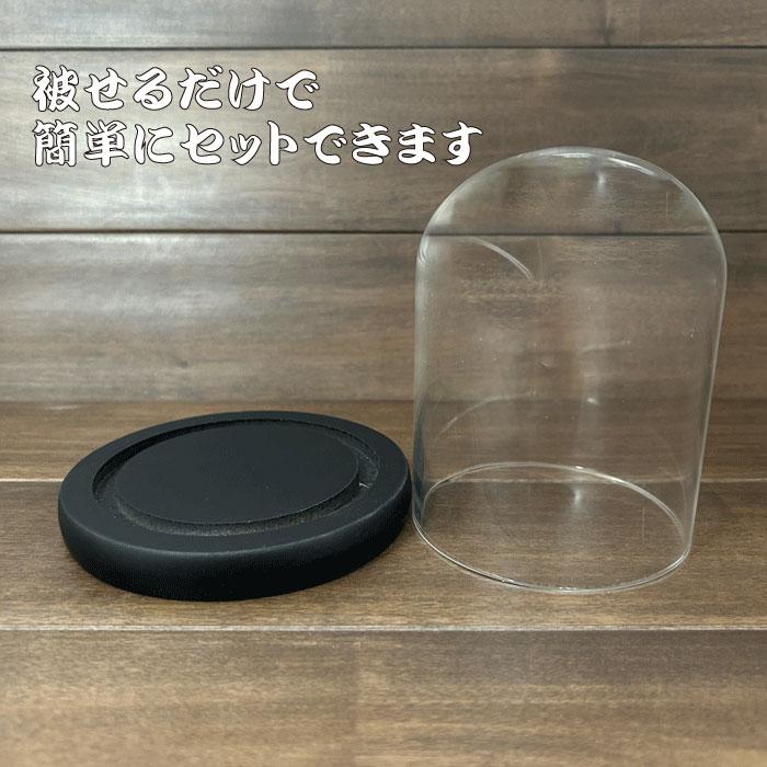 ガラスドーム ディスプレイ ケース 硝子 オブジェ 飾る 保護 ショー