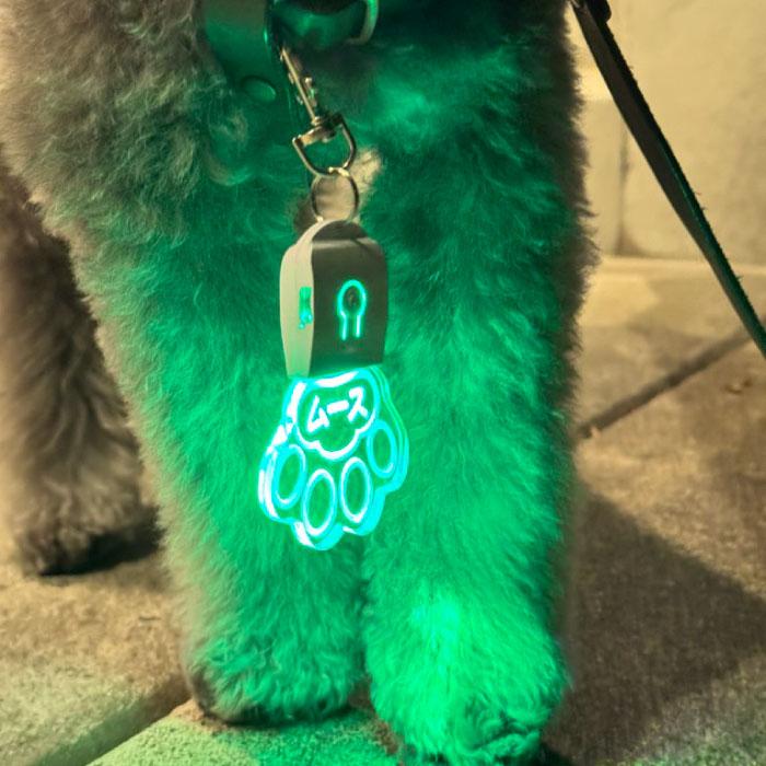 名前彫刻 光る ネームタグ ワンちゃん 犬 チャーム 迷子札 ペット キーホルダー 首輪 つける リード LEDライト レインボー 綺麗 かわいい おしゃれ |  | 12