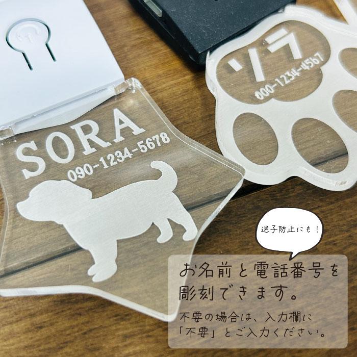 名前彫刻 光る ネームタグ ワンちゃん 犬 チャーム 迷子札 ペット キーホルダー 首輪 つける リード LEDライト レインボー 綺麗 かわいい おしゃれ |  | 02