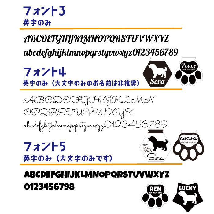 名前彫刻 光る ネームタグ ワンちゃん 犬 チャーム 迷子札 ペット キーホルダー 首輪 つける リード LEDライト レインボー 綺麗 かわいい おしゃれ |  | 06