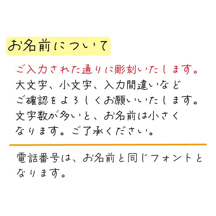 名前彫刻 光る ネームタグ ワンちゃん 犬 チャーム 迷子札 ペット キーホルダー 首輪 つける リード LEDライト レインボー 綺麗 かわいい おしゃれ |  | 07