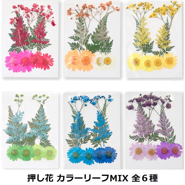 送料無料 デコパーツ 押し花 カラーリーフ MIX 選べる6色 花 ドライ