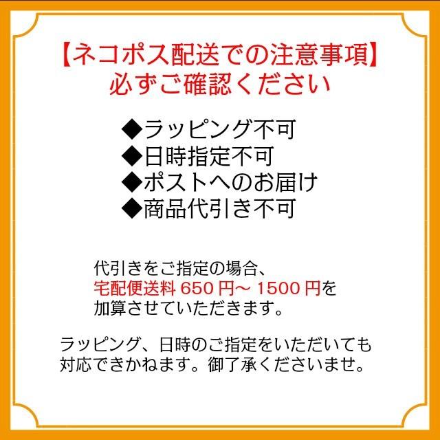 ビニールカバー 御朱印帳 カバー 汚れ防止 小サイズ 11×16cm 集印帳 朱印帳 鉄印帳 メモ帳 文庫 本 |  | 05