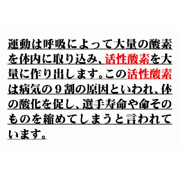 Sオール 活性酸素抑制組成物 抗酸化 サプリメント 活性酸素 Sod アンチエイジング 老化 健康食品 糖尿病 植物発酵食品 天然素材 健康 安全安心 1 ラピスイオン 通販 Yahoo ショッピング