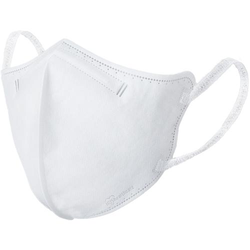 ホワイトフェイス プリズマ 2枚セット アイリスオーヤマ IRIS 296468 DAILY FIT MASK 立体 ふつうサイズ 30枚