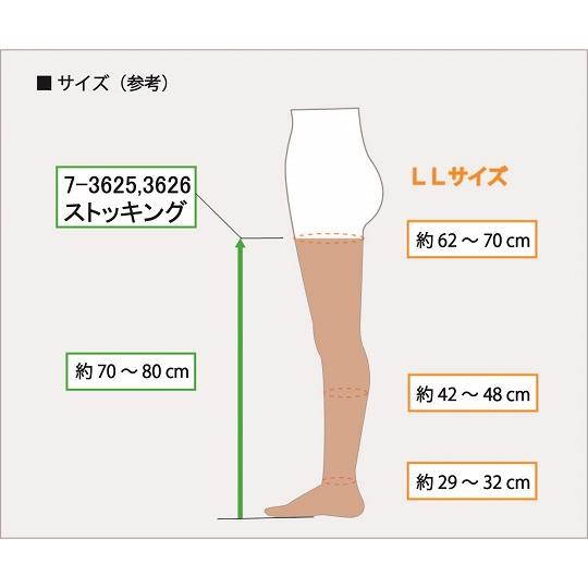 ナビス 弾性ストッキング（ストッキング） クローズトゥ LL 7-3625-14｜laplace｜03