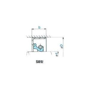 NOK オイルシール SB型 220×260×22 1個入 AB5216A3