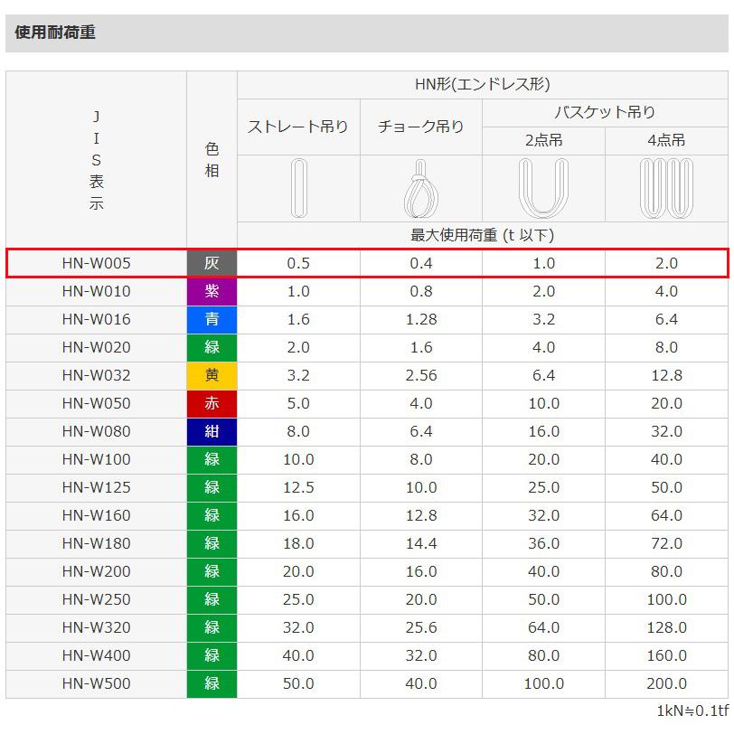 ESCO エスコ 25mmx3.0m/0.5ton ベルトスリング(エンドレス) EA981DF-3