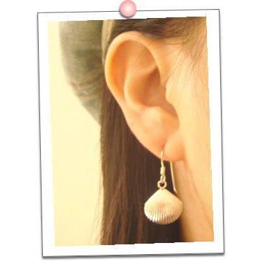 【良品】Tiffany & Co. ピアス925シルバー×14G 貝殻　シェル 良品】Tiffany & Co. ピアス925シルバー×14G 貝殻 シェル - メルカリ