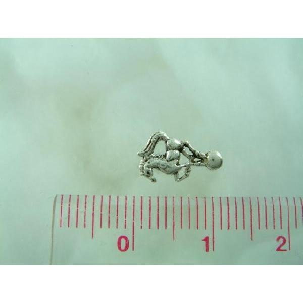 シルバーピアス スタッドピアス サーカス ボール 馬 ホース 玉乗り