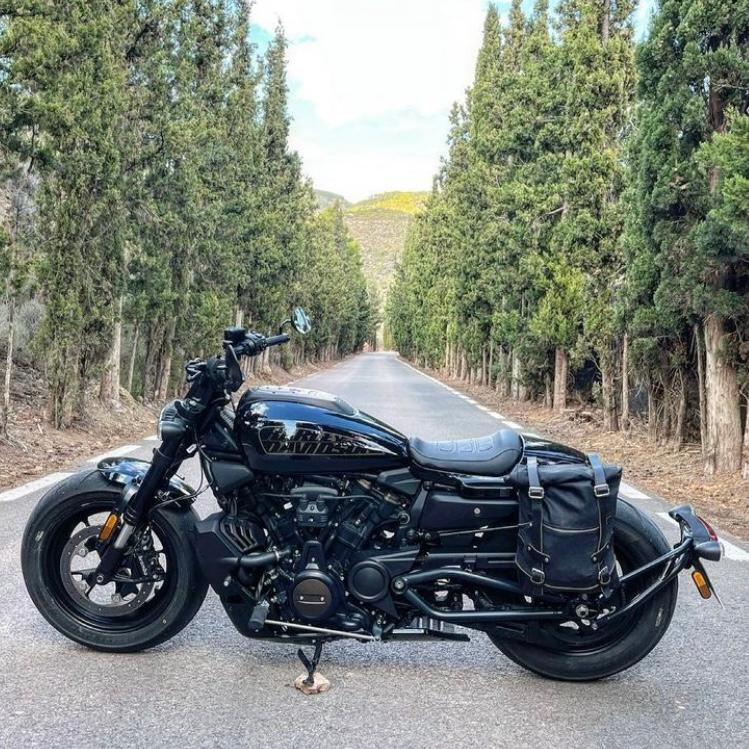 Harley-Davidson RH1250S スポーツスターS用シングルブラケット LaPoderosaGoods 国内在庫あり 即納 |  | 02