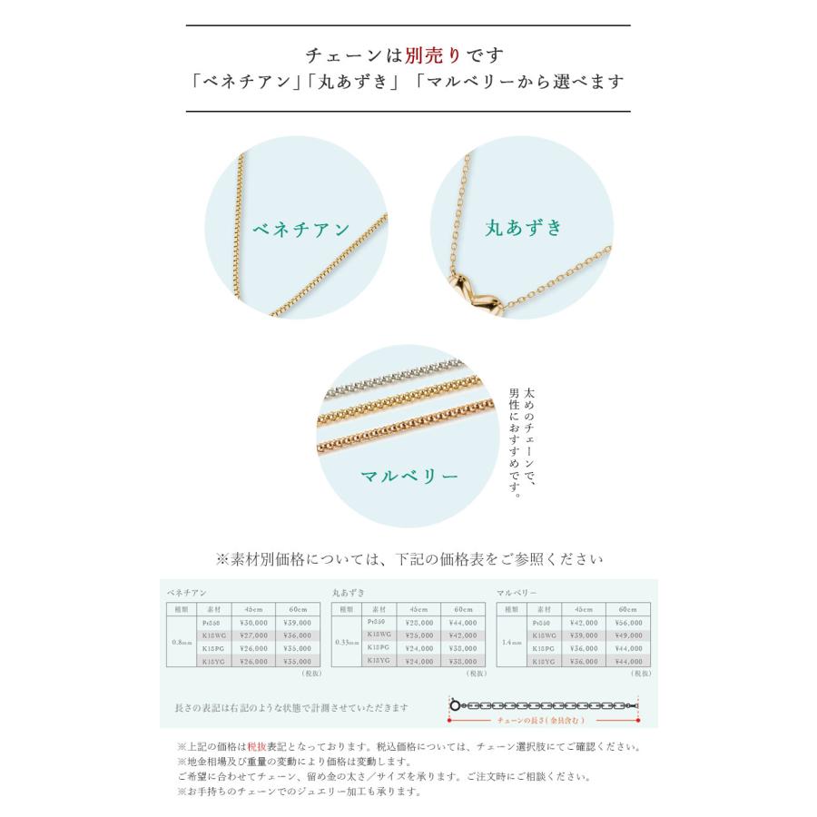 【遺骨ネックレス -NEGAI- 願い／SP432】【送料無料】／遺骨 遺灰 ジュエリー ネックレス　リング 手元供養 指輪 アクセサリー オシャレ ペット｜lapriere-shop｜06