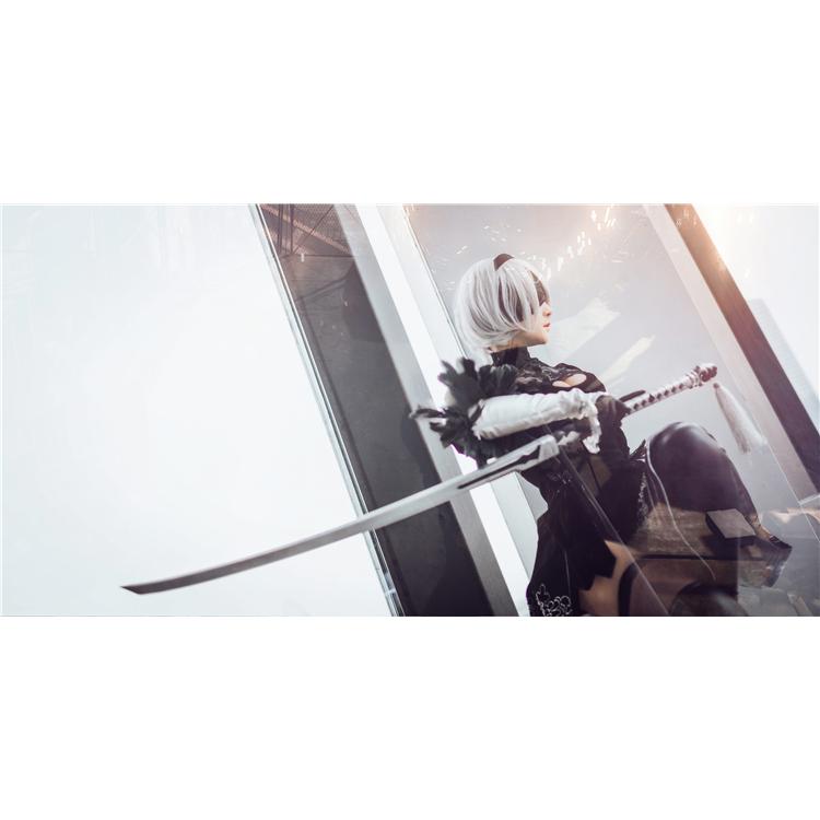 三分妄想1/3Delusion】NieR:Automata ニーア オートマタ ヨルハ 三分妄想1/3Delusion】NieR:Automata ニーア オートマタ ヨルハ