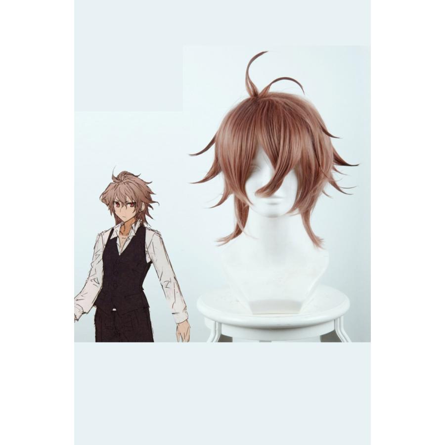 Fate Apocrypha フェイト アポクリファ ジーク ウィッグ コスプレ用 カツラ ネット付き Cosplay コスプレ道具 Ars3 Lardoo株式会社 通販 Yahoo ショッピング