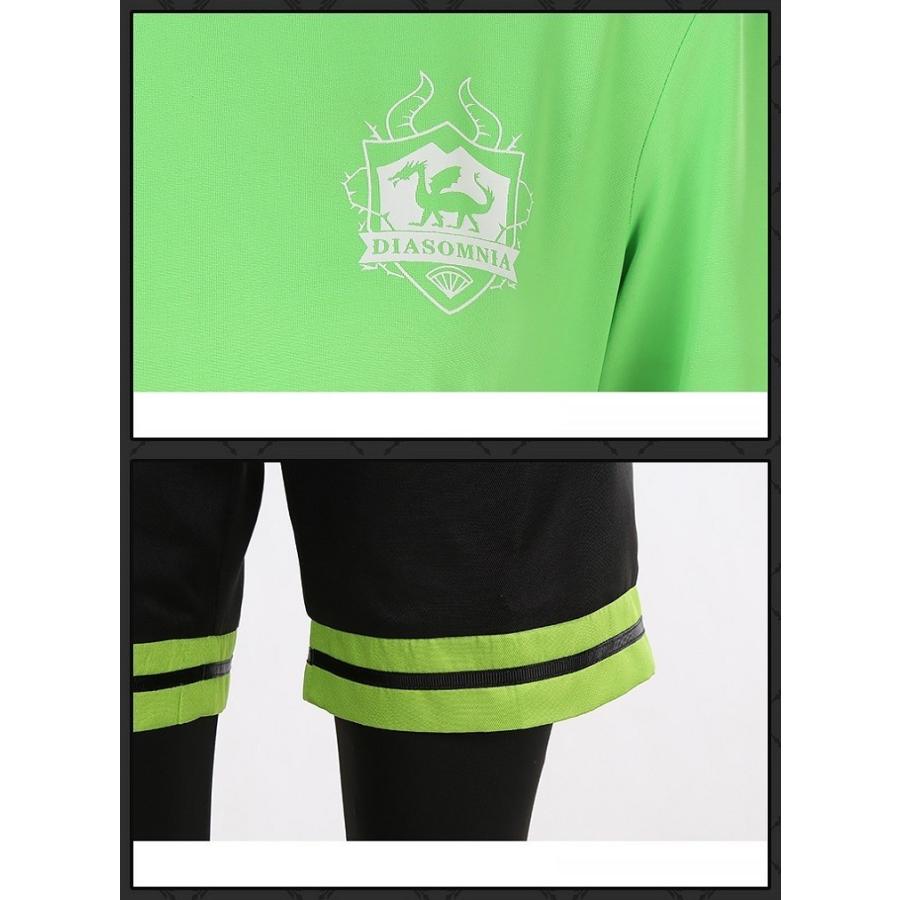 ツイステッドワンダーランド ツイステ リリア・ヴァンルージュ （R