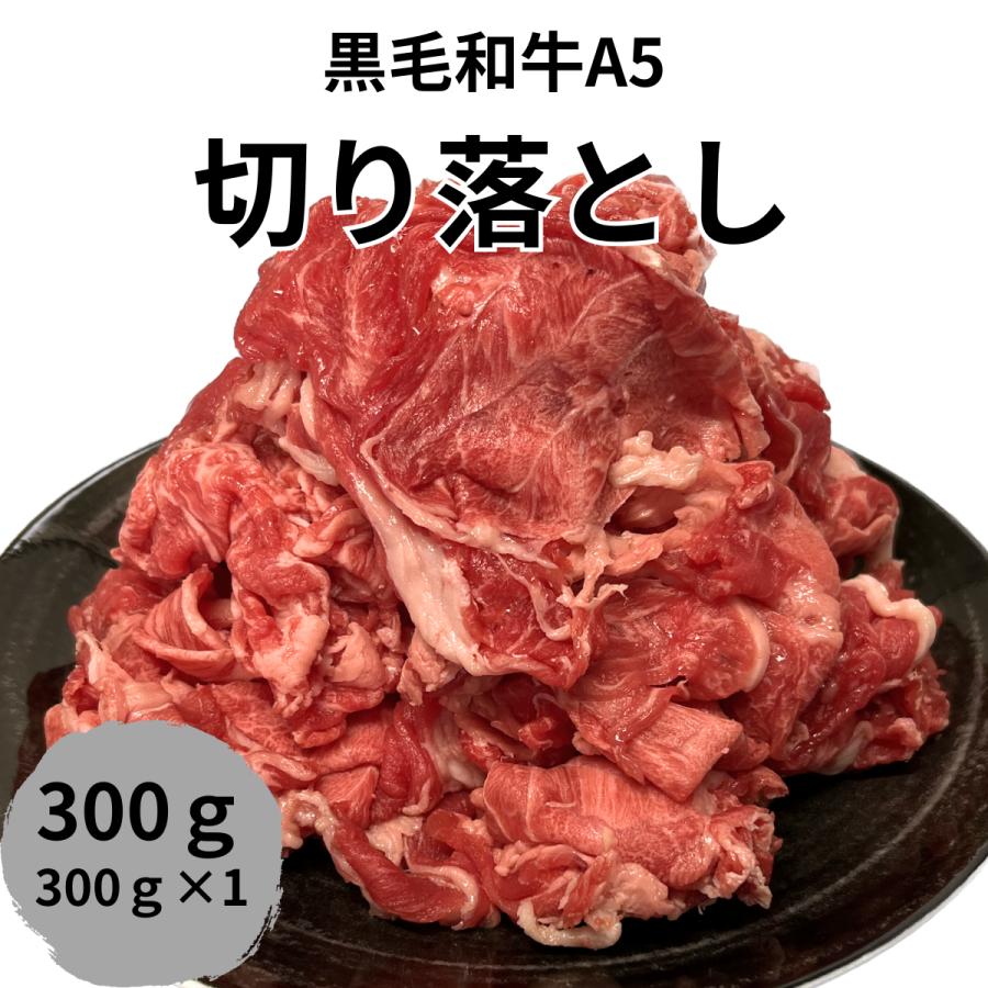 お試しサイズ　黒毛和牛A5　切り落とし300ｇ | 
