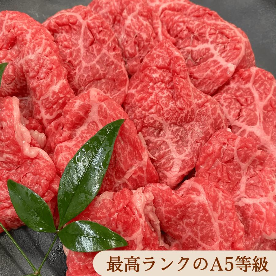 お試しサイズ　黒毛和牛A5　切り落とし300ｇ |  | 01