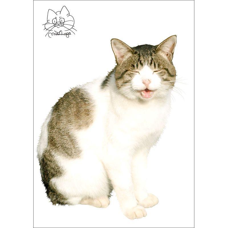 欲しいの 猫 ウォールステッカー 写真家 岩合光昭 ねこ11 動物 転写タイプ 高品質 ネコ 東京百貨店 ウォールステッカー 東京ステッカー 日本製 ウォールステッカー 種類 岩合光昭 ねこ11 写真家 猫 Ss Ts 0091 Ass 3点