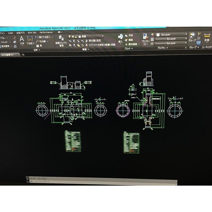 数量限定20％OFF！！定価￥79800円→￥63800円♪トランスファーダウン