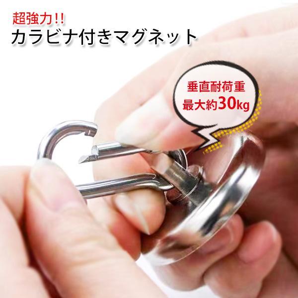 マグネット フック カラビナ 強力 浴室 シェード 磁石 ネオジウム