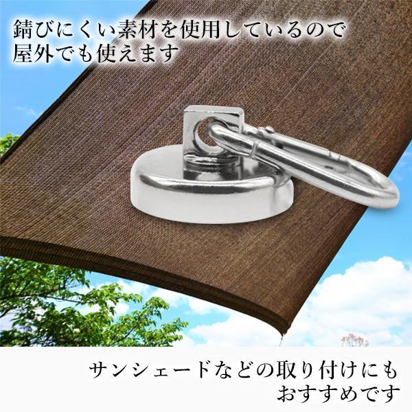 マグネット フック カラビナ 強力 浴室 シェード 磁石 ネオジウム