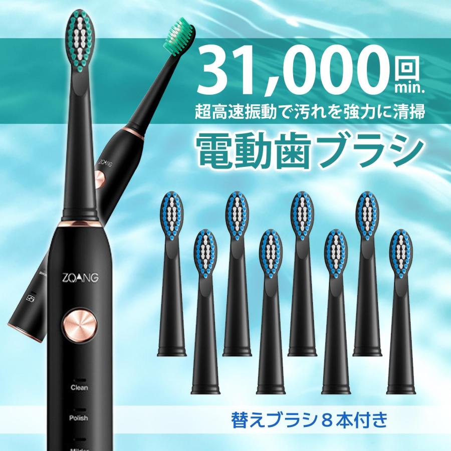 電動歯ブラシ 歯ブラシ 本体 替えブラシ 8本 口内ケア 歯磨き USB充電