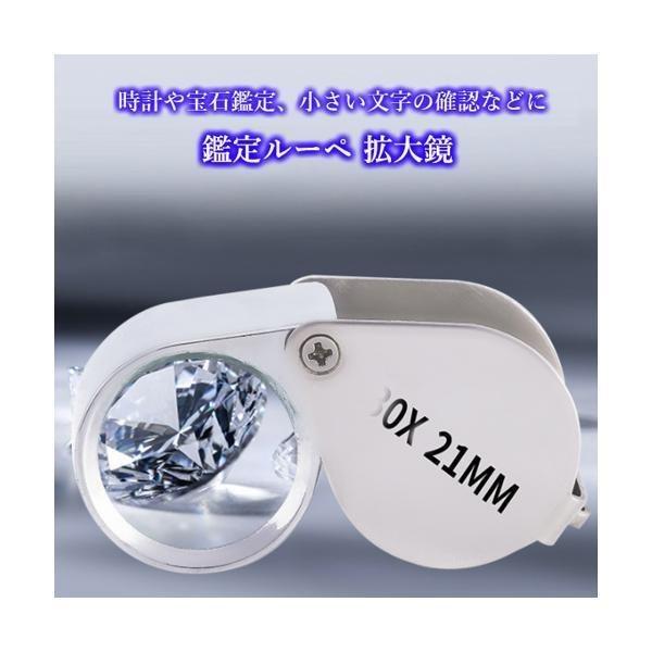 鑑定 ルーペ 拡大鏡 観察 ジュエリー 検査 ケース付 自由研究