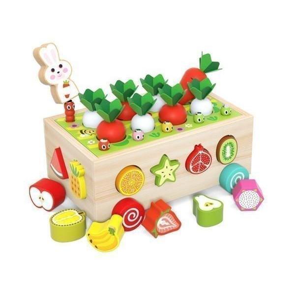 木のおもちゃ おもちゃ 知育玩具 型はめ 限定製作 引っ付き虫 子ども 1周年記念イベントが 積み木 C 出産祝い