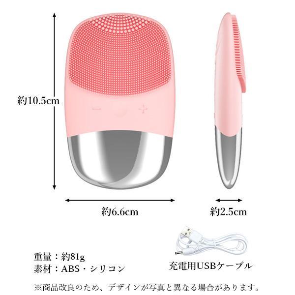 LumiSpa 洗顔ブラシ 試してみた】ルミスパ スターター キット ニュースキンのリアル