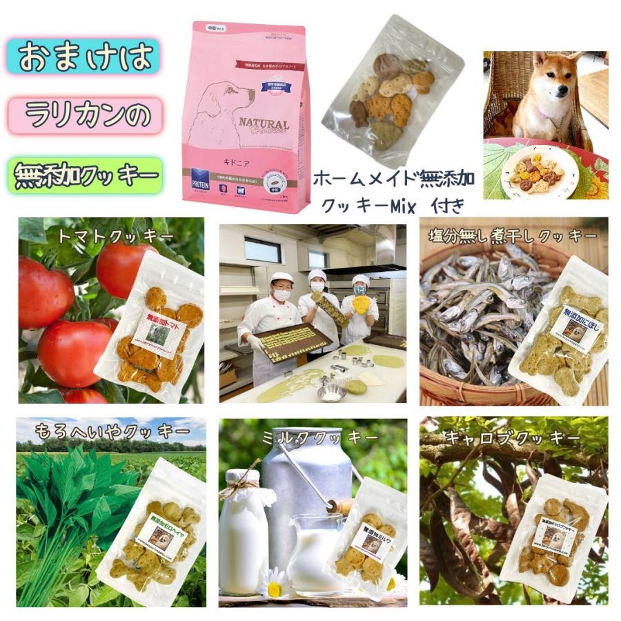ナチュラルハーベスト（NATURAL harvest） 【ポイント10倍】 キドニア