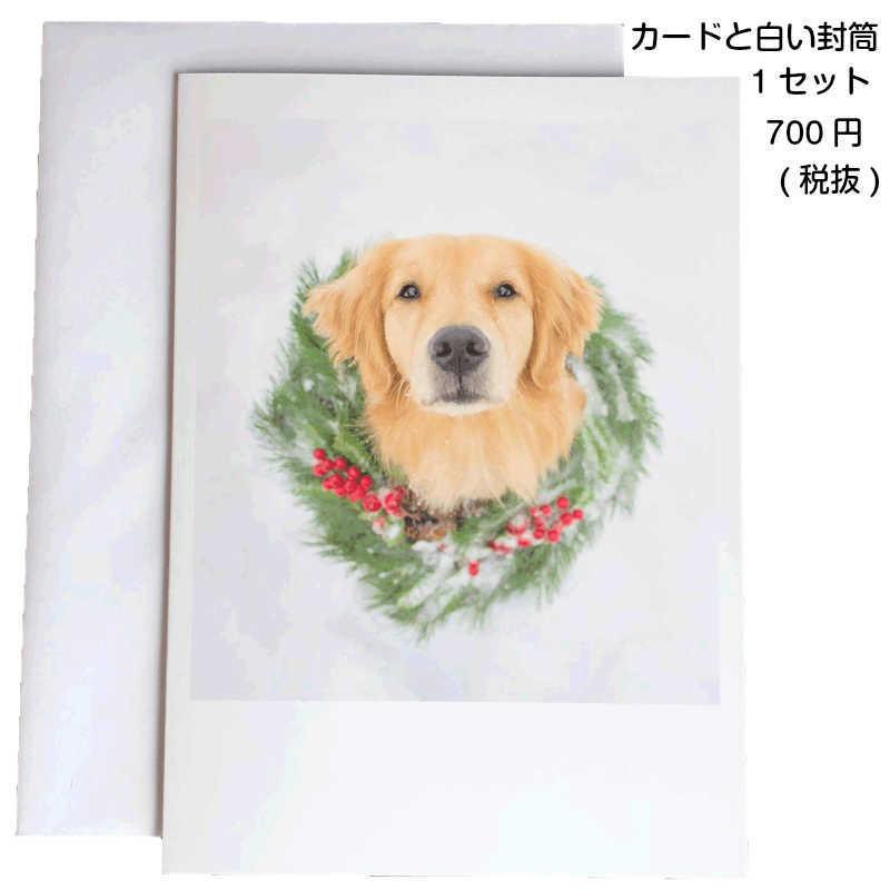 ゴールデンレトリバーのクリスマスカード メッセージカードと白封筒各
