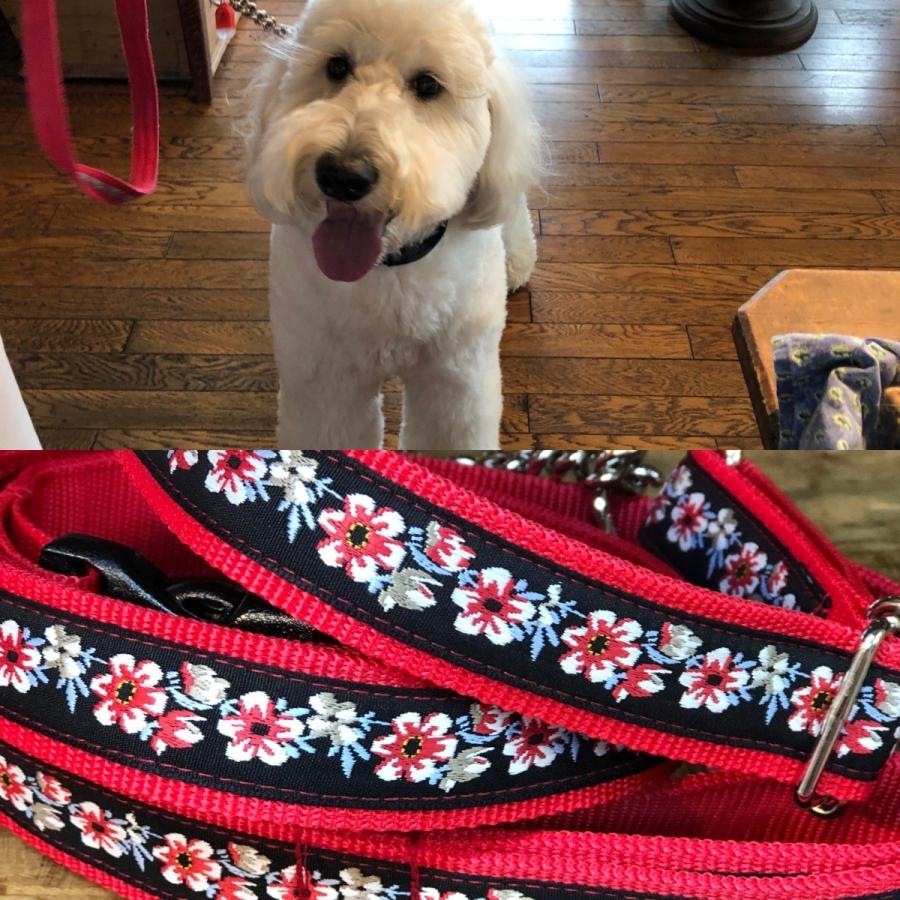 大型犬用 ハーフチョークカラー と ショートハンドル付きリードのセット Ole 1 ペットグッズのラリーズカンパニー 通販 Yahoo ショッピング