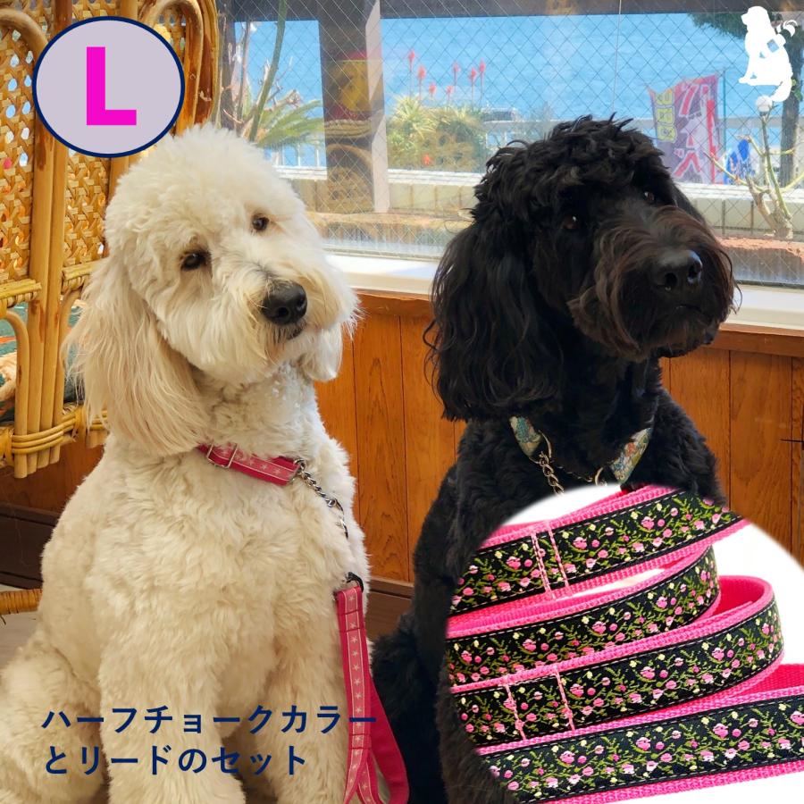 大型犬用リード、ハーフチョーク手作りセット