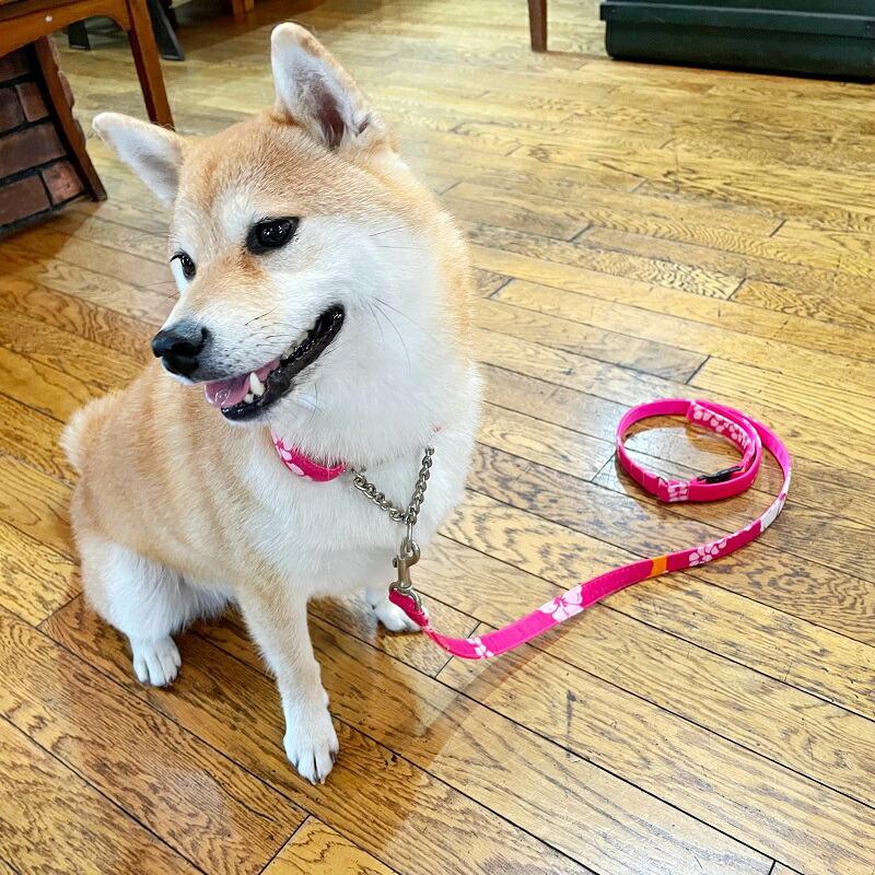 リードとセット犬 ハーフチョーク 首輪 引っ張り防止 しつけ Mサイズ 中型犬 ラリカンオリジナル 首周りに合わせて作る Ole Aloham ペットグッズのラリーズカンパニー 通販 Yahoo ショッピング