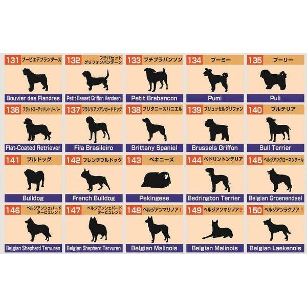 犬種別シルエットのカッティングシールポップアップステッカー 車 犬のステッカー シール ネーム入れ カーステッカー ペット Tst Pop ペットグッズのラリーズカンパニー 通販 Yahoo ショッピング