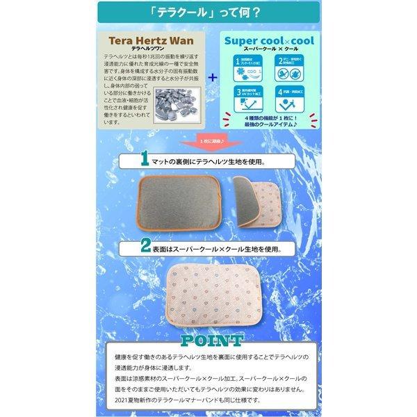 21 クールクール 新作 Sサイズ スーパークールクールシート Touboxマット 日本製 クークチュール ペット クールマット クールクール Wgd 7235s ペットグッズのラリーズカンパニー 通販 Yahoo ショッピング