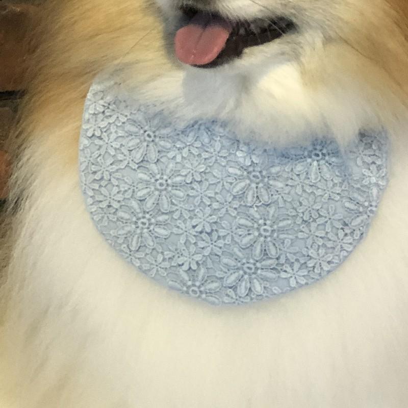 Zoobico Sサイズ ケープ 服 デイジーケープビブ 小型犬用ビブ 2色犬