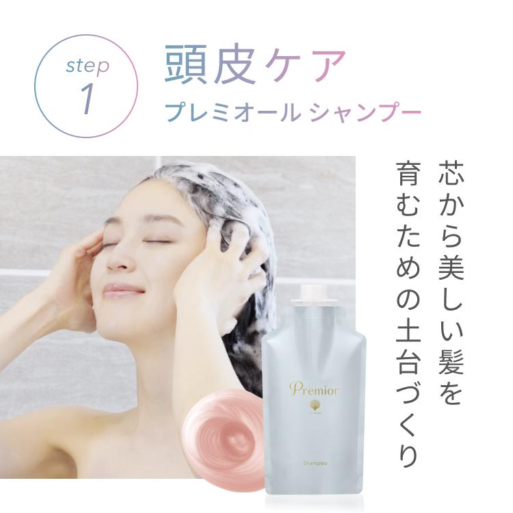 La Sana 【公式店限定5%OFF】ラサーナ プレミオール シャンプー La Sana 【公式店限定5%OFF】ラサーナ プレミオール シャンプー